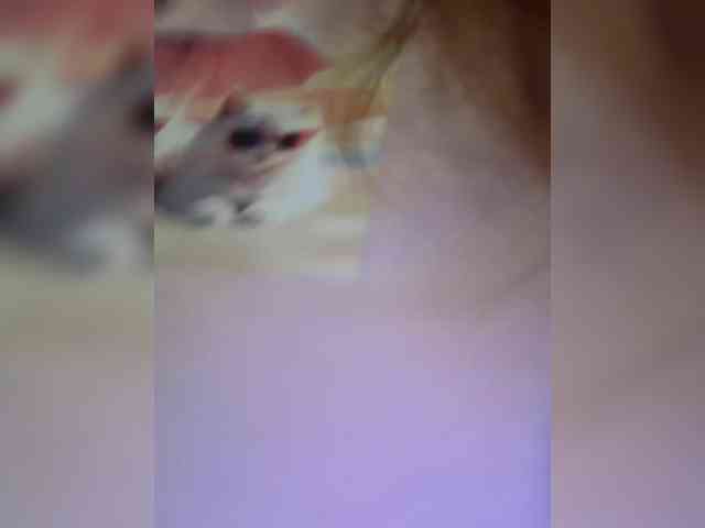 MilfaSguirt webcam