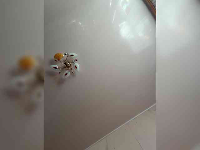 MilfaSguirt webcam