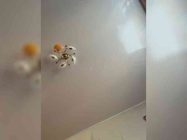 MilfaSguirt webcam