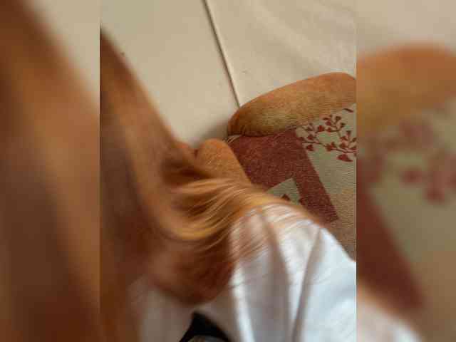 MilfaSguirt webcam