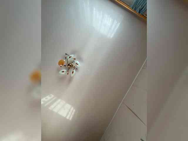 MilfaSguirt webcam