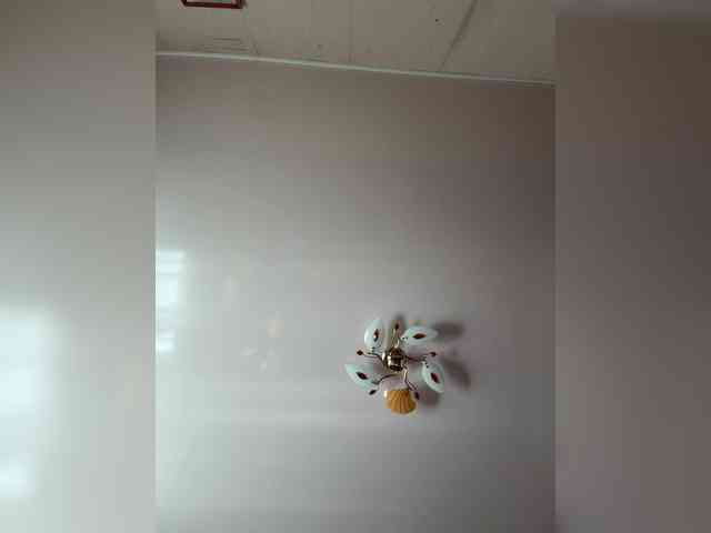 MilfaSguirt webcam