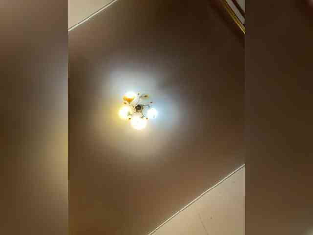 MilfaSguirt webcam