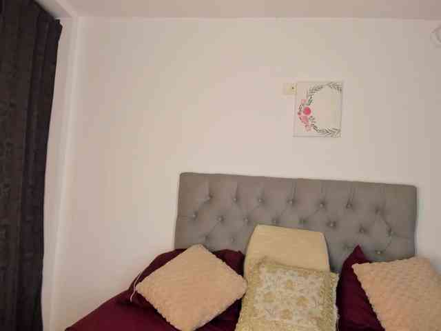 NicolSwift webcam