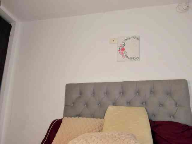 NicolSwift webcam
