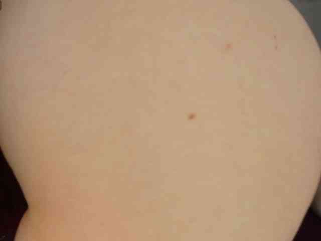 NicolSwift webcam