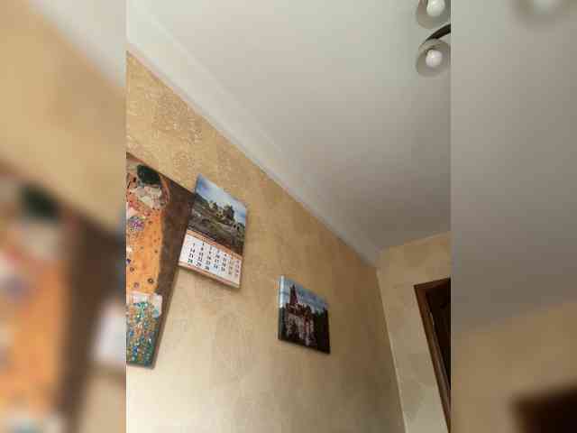 Arisharisha webcam