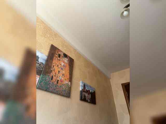 Arisharisha webcam