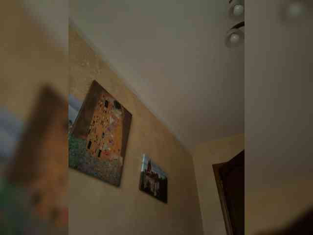 Arisharisha webcam