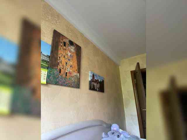 Arisharisha webcam