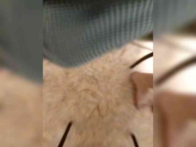 SKV03N0Y
