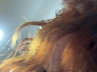 xunybany Porn Show