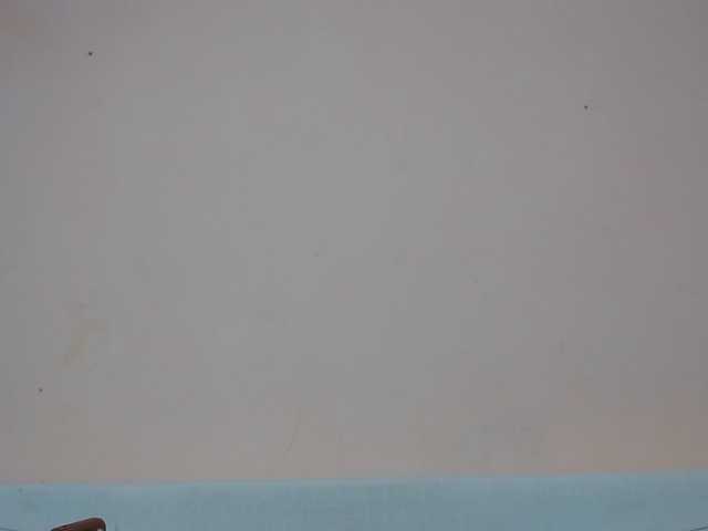 Rsylvia1 live cam on BongaCams