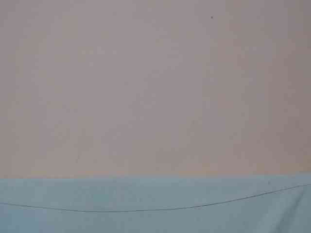 Rsylvia1 webcam