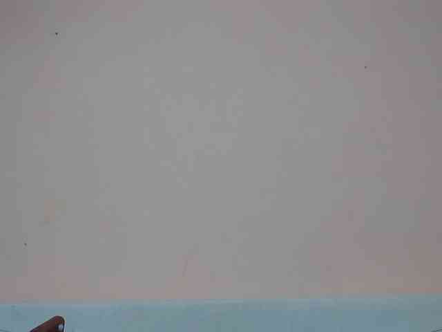 Rsylvia1 webcam