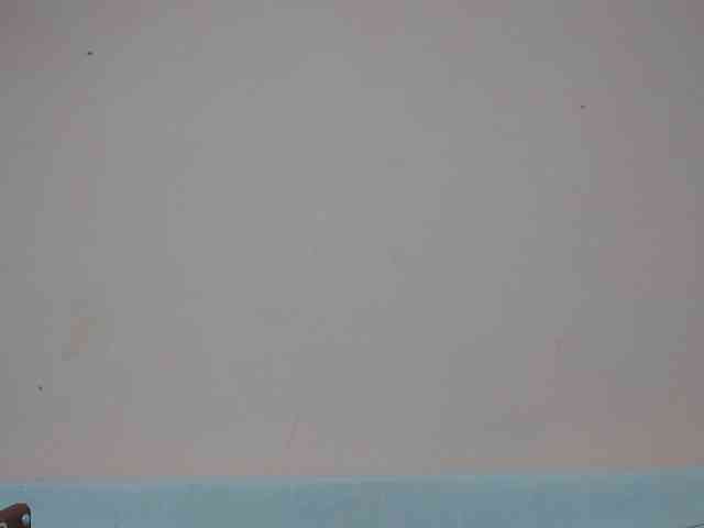 Rsylvia1 Rsylvia1