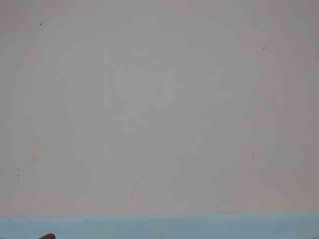 Rsylvia1 webcam