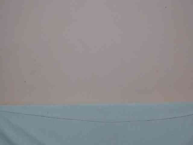 Rsylvia1 webcam