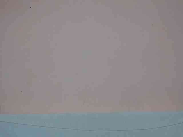 Rsylvia1 webcam