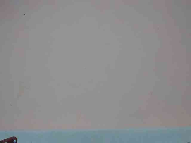 Rsylvia1 webcam