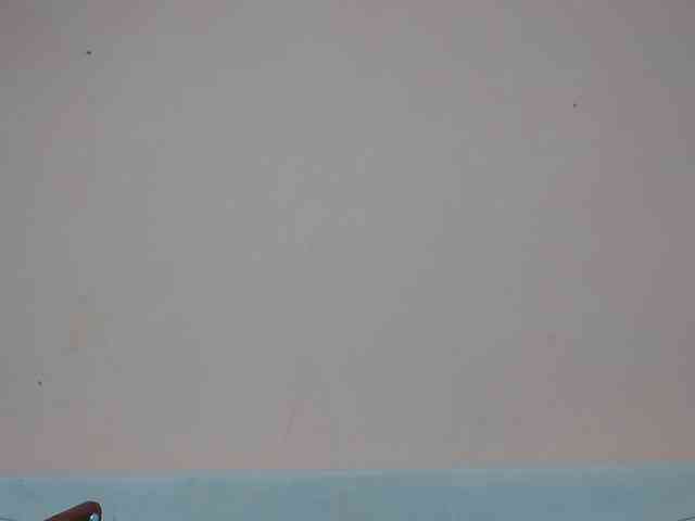 Rsylvia1 webcam