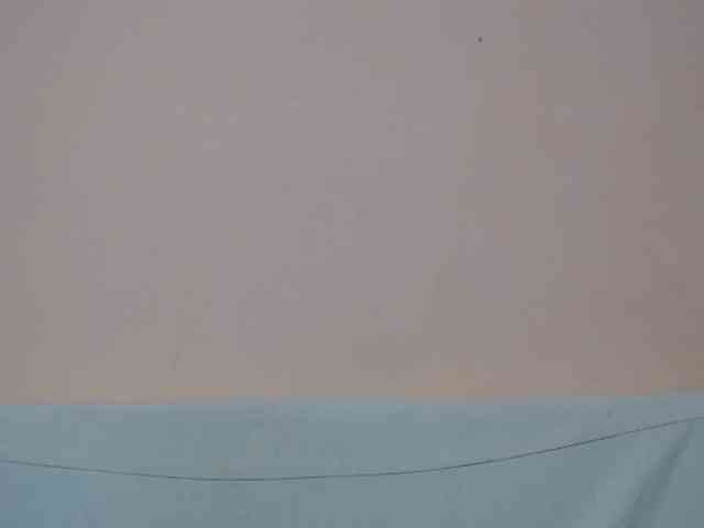 Rsylvia1 webcam