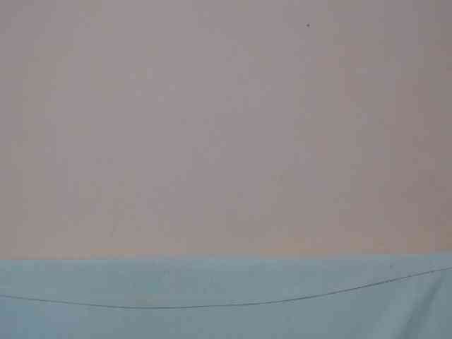 Rsylvia1 webcam