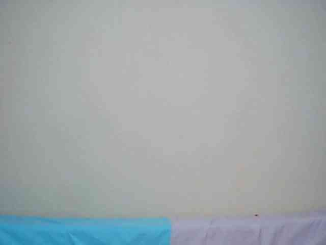 Rsylvia1 webcam