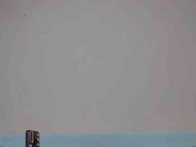 Rsylvia1 webcam