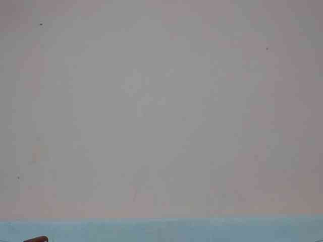 Rsylvia1 webcam