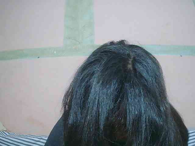 Rsylvia1 webcam