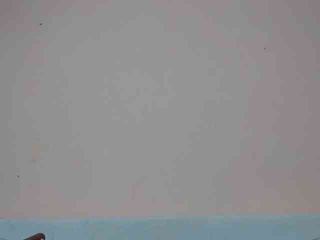 Rsylvia1 Rsylvia1