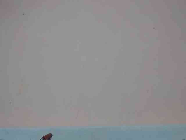 Rsylvia1 webcam
