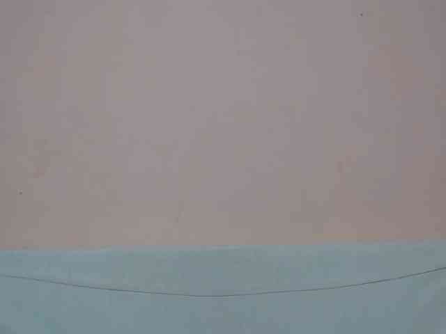 Rsylvia1 webcam