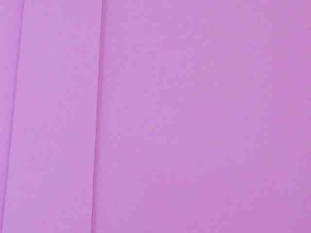SeleneGibson webcam