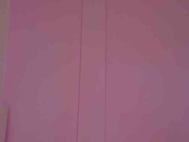 SeleneGibson webcam