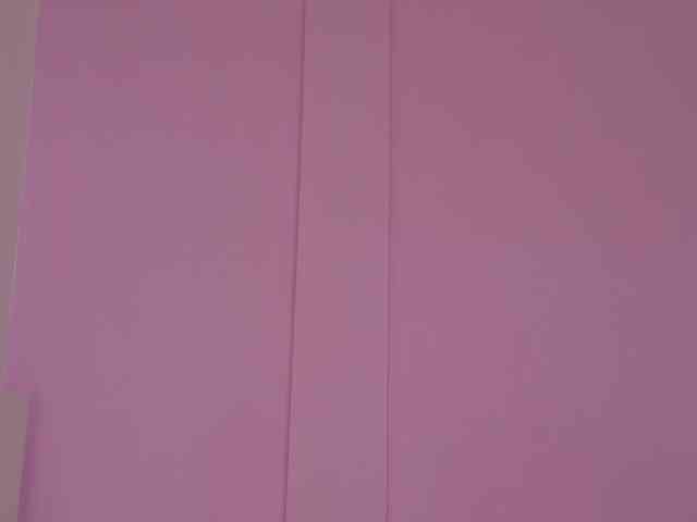 SeleneGibson webcam