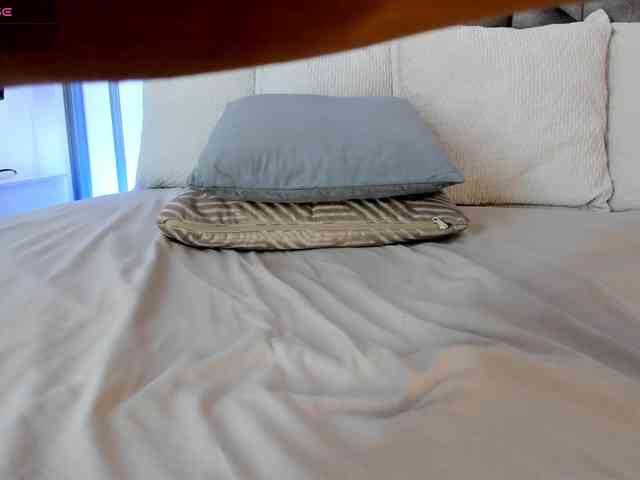cocodamore