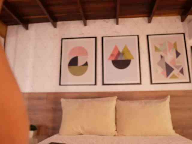 Modelo: VictoriaShelby