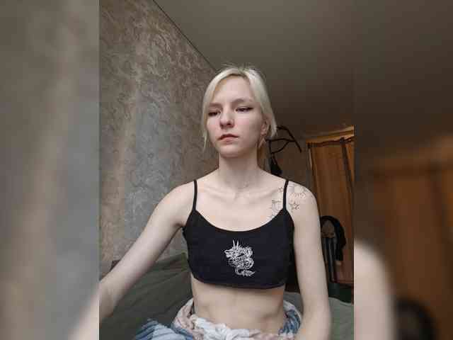 meowny-1 webcam