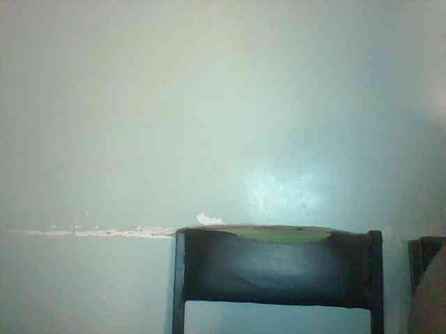 Golden-brownie webcam