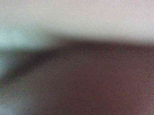 Golden-brownie webcam