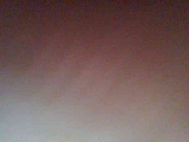 Golden-brownie webcam