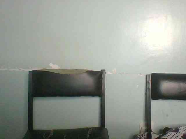 Golden-brownie webcam