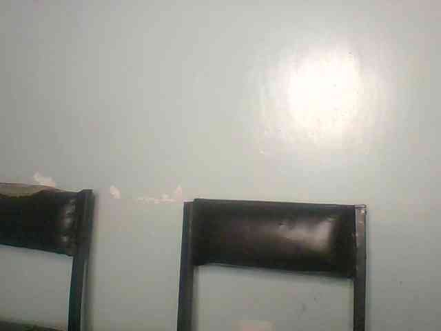 Golden-brownie webcam