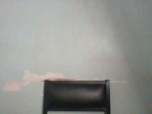 Golden-brownie webcam