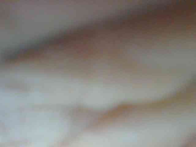 Golden-brownie webcam