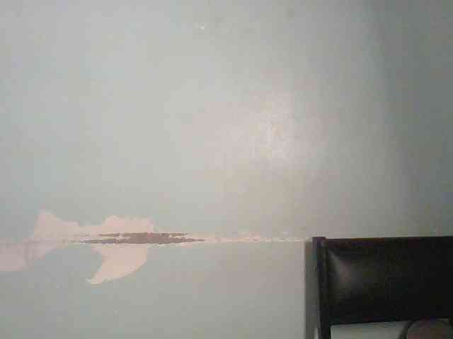 Golden-brownie webcam