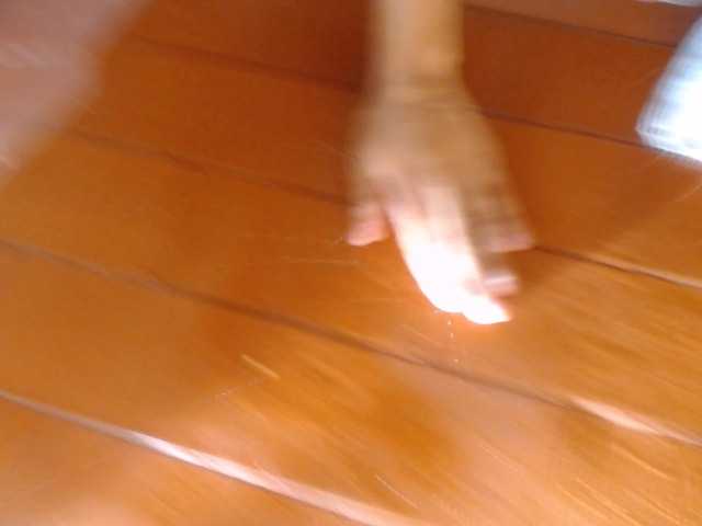 adablak live cam preview