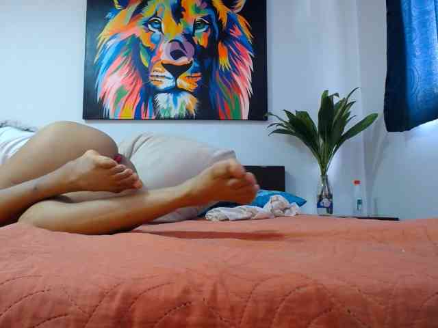 adablak webcam